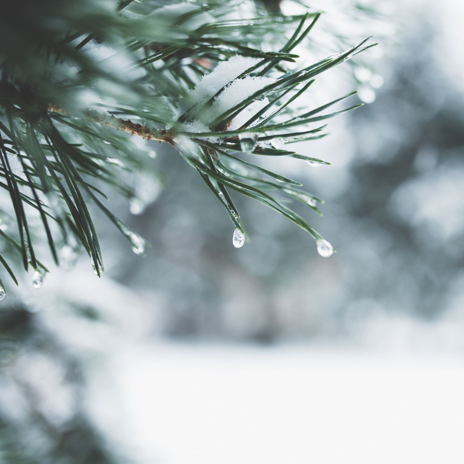 Are Winter-Proof Glamping Tents Worth It?-Boho Bell Tent