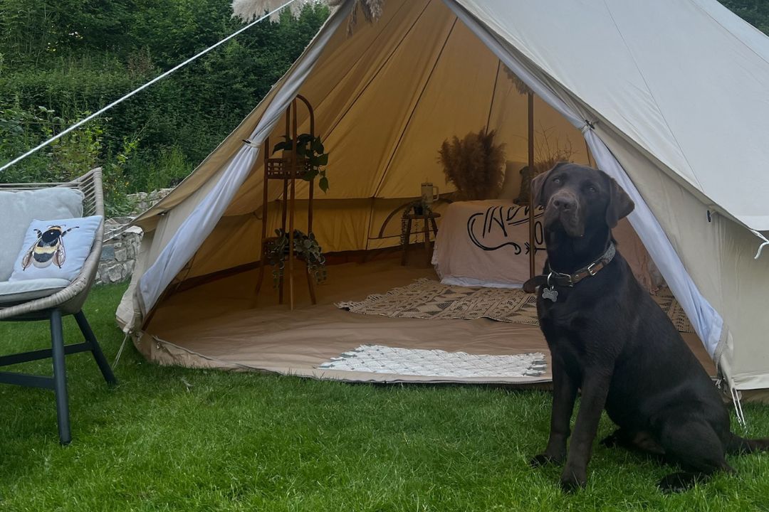 How to make Glamping Dog Friendly-Boho Bell Tent