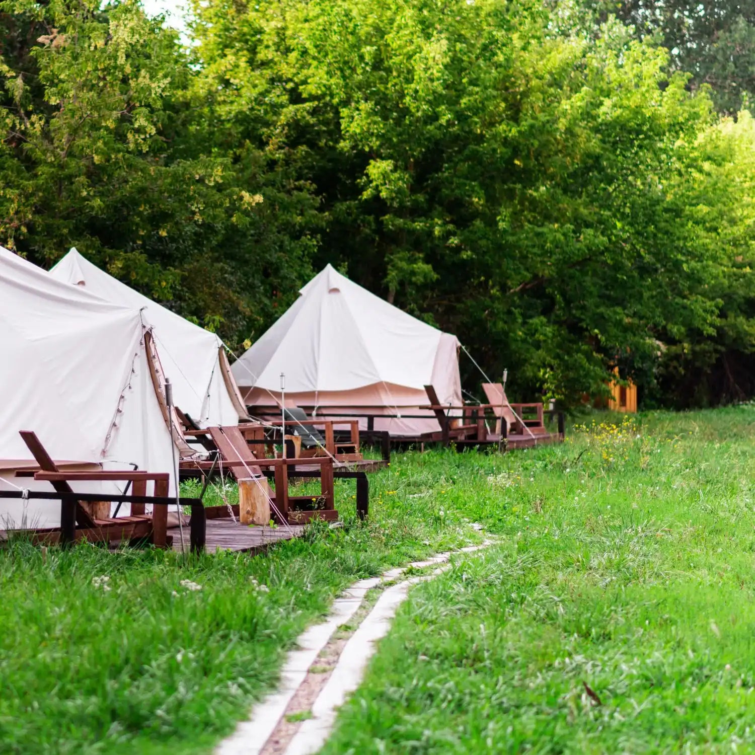 Is Starting A Glamping Business A Good Idea - row of Bell Tents in the countryside