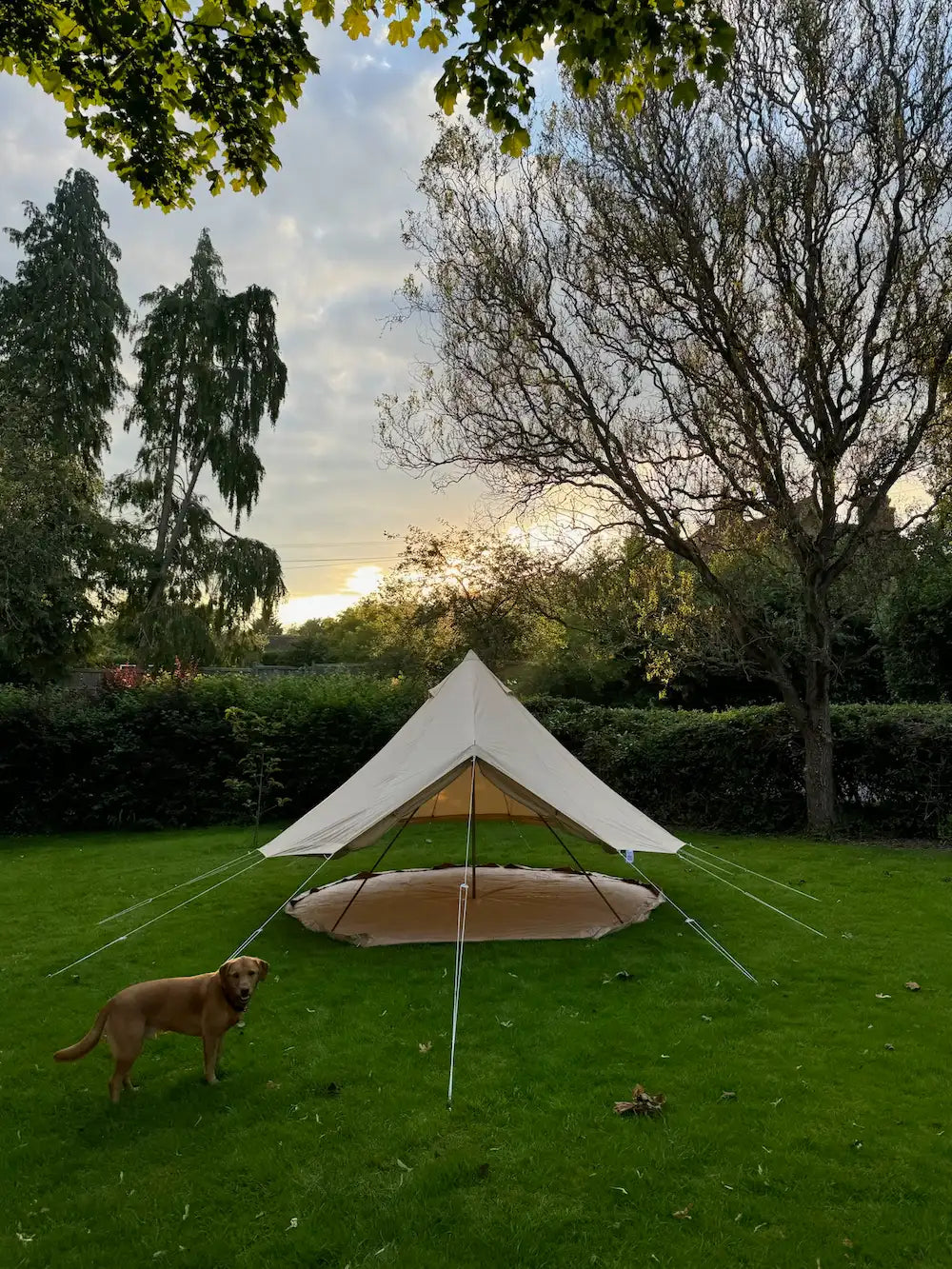 Boho Bell Tent